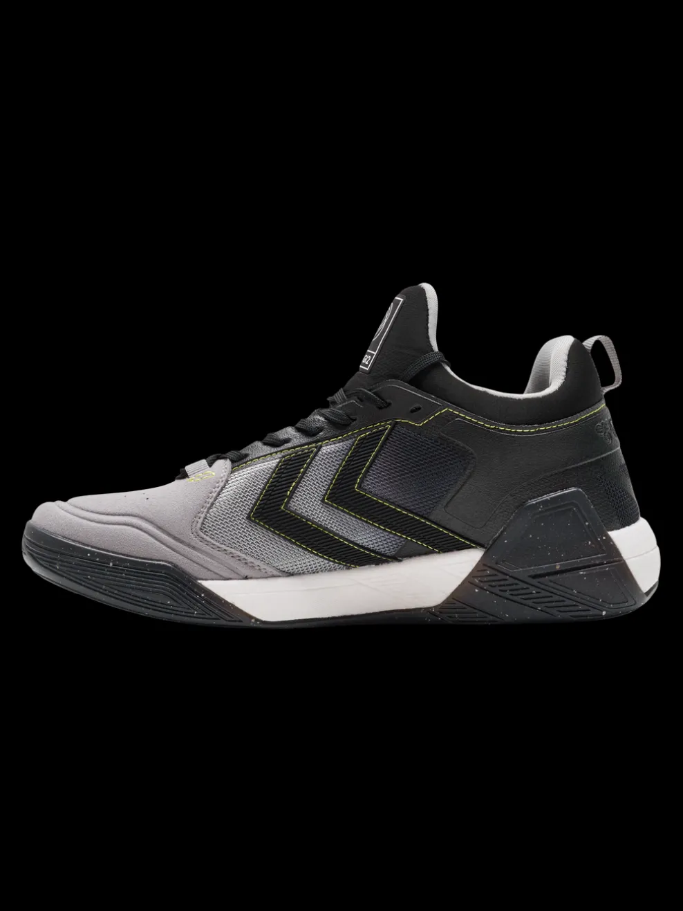 ALGIZ GG12