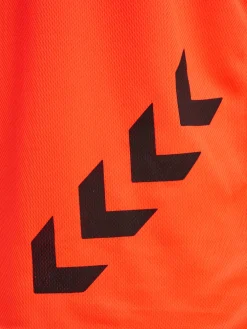FUNDAMENTAL TRAINING BIB