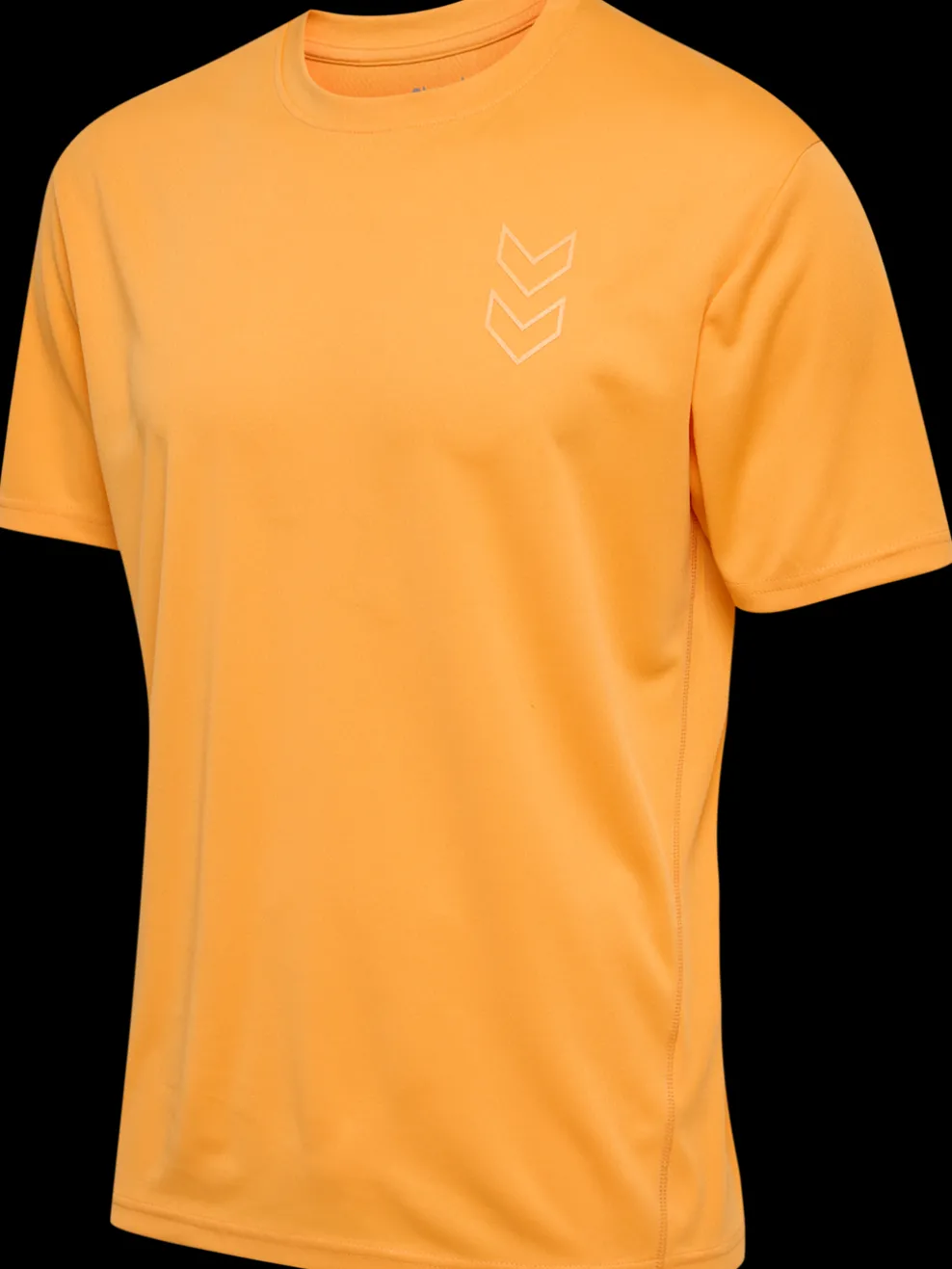 hmlACTIVE PL JERSEY S/S