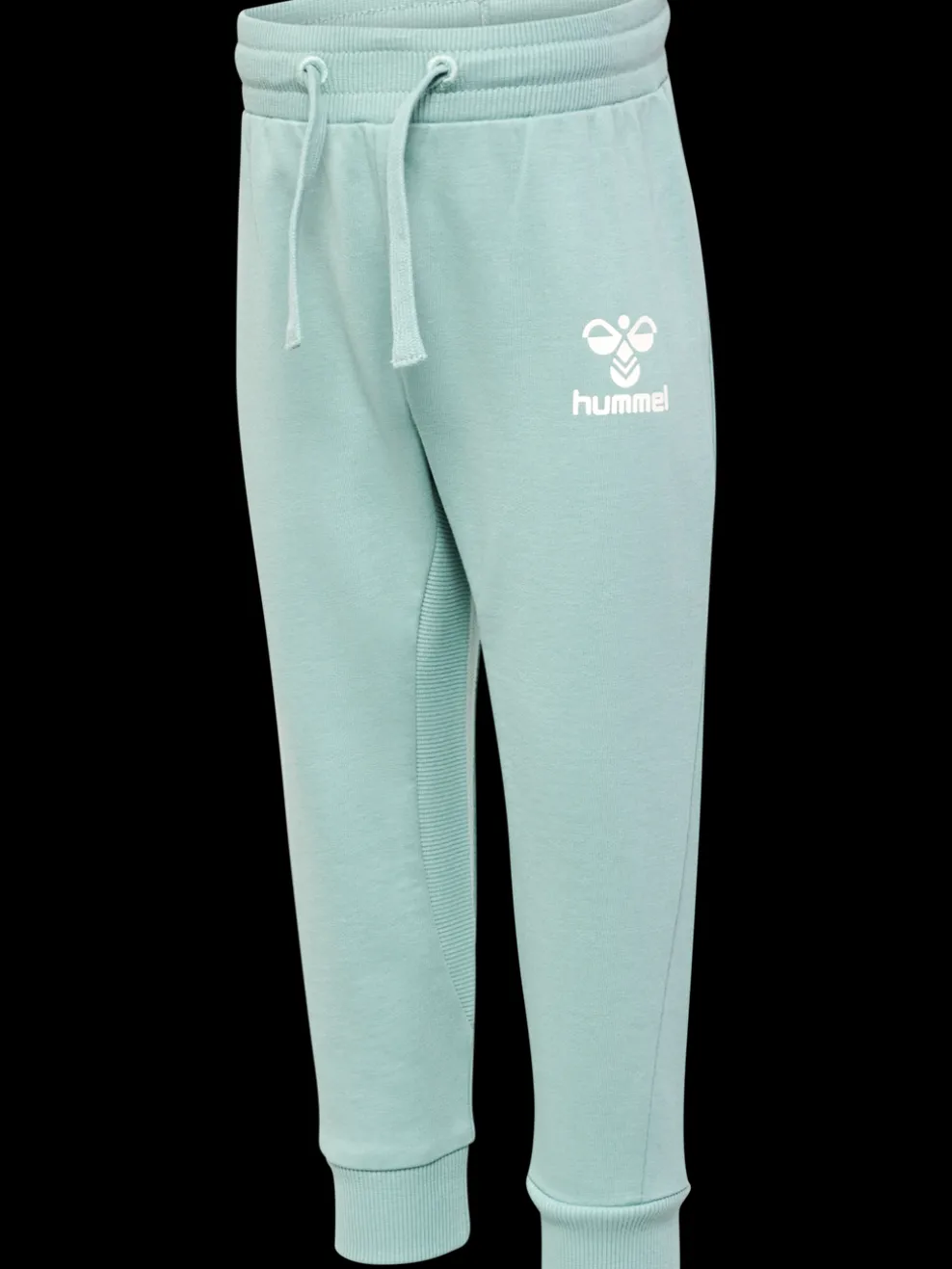 hmlAPPLE PANTS