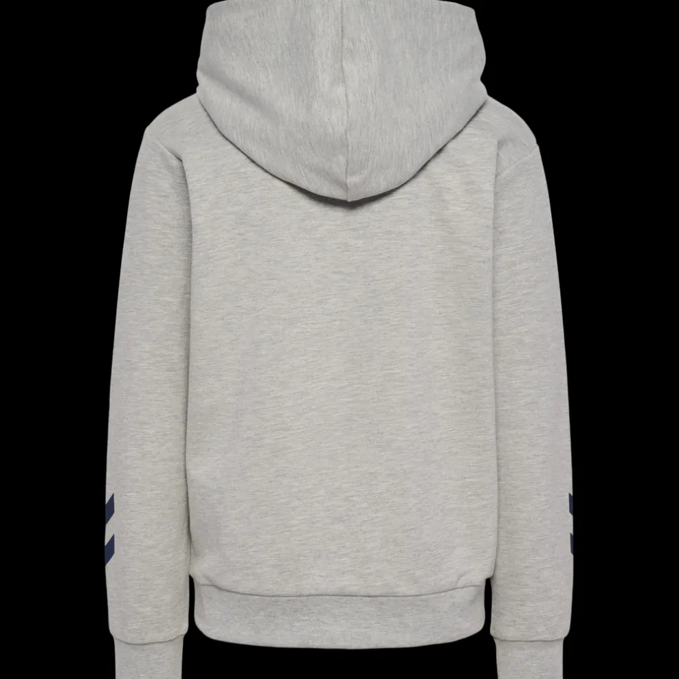 hmlASHER HOODIE