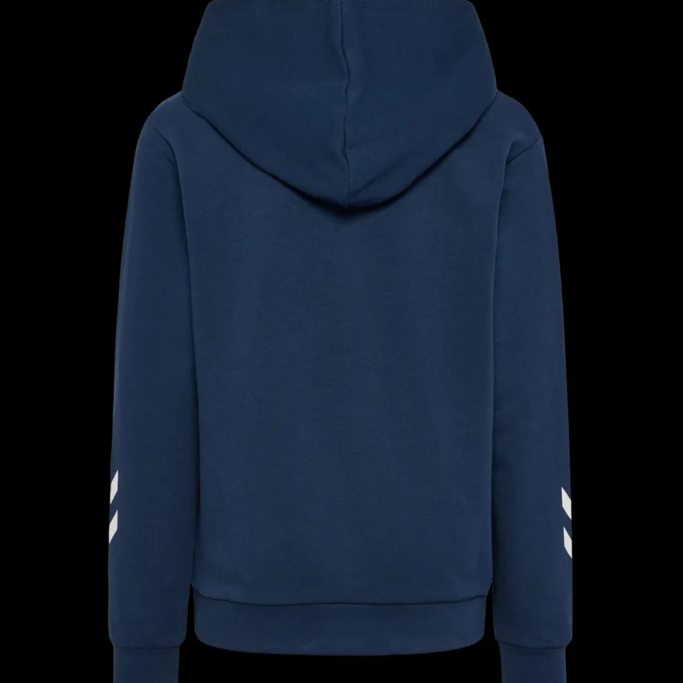 hmlASHER HOODIE