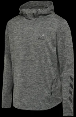 hmlASTON HOODIE