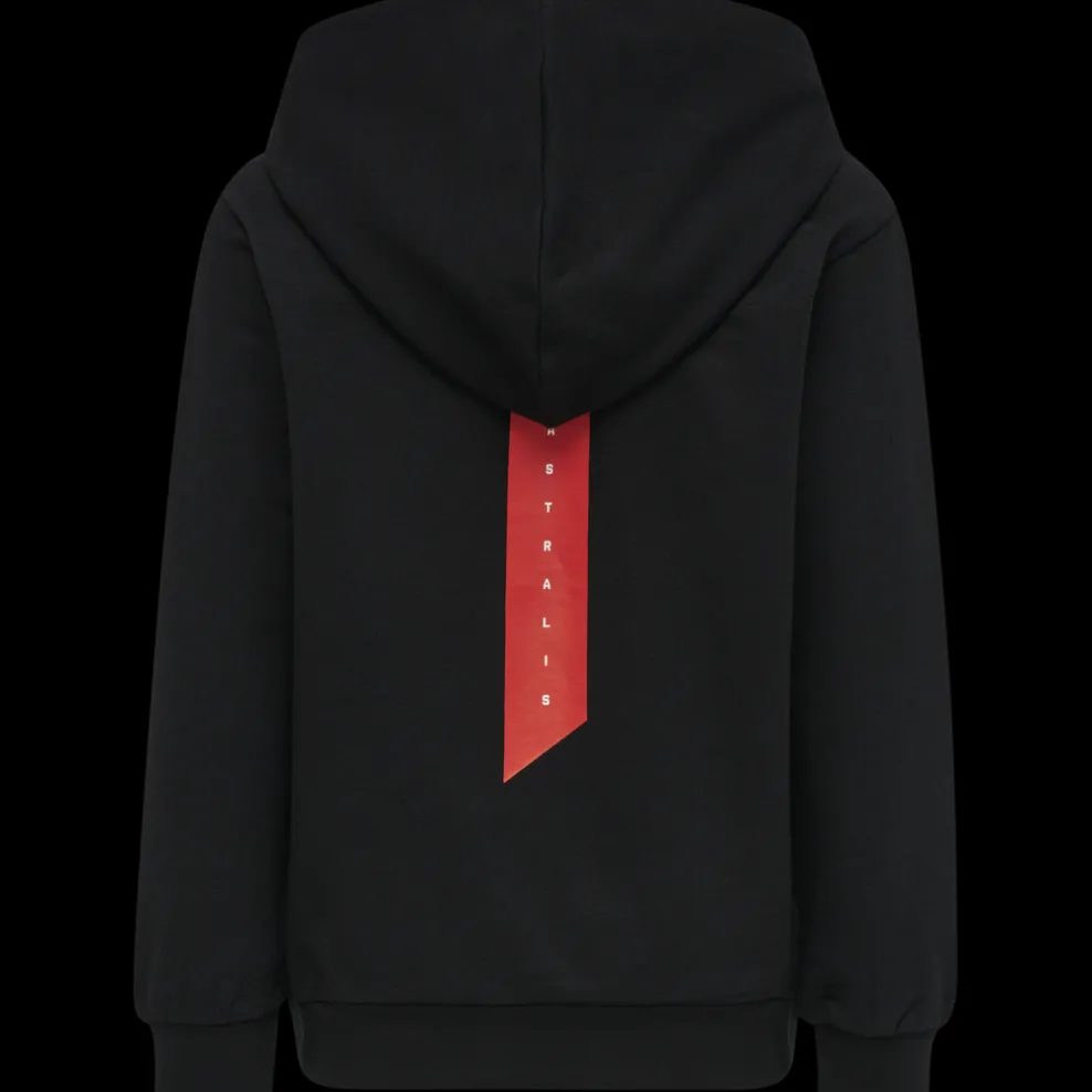 hmlASTRALIS CUATRO HOODIE