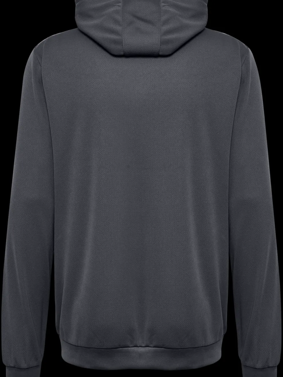 hmlAUTHENTIC PL HOODIE