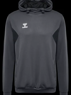 hmlAUTHENTIC PL HOODIE