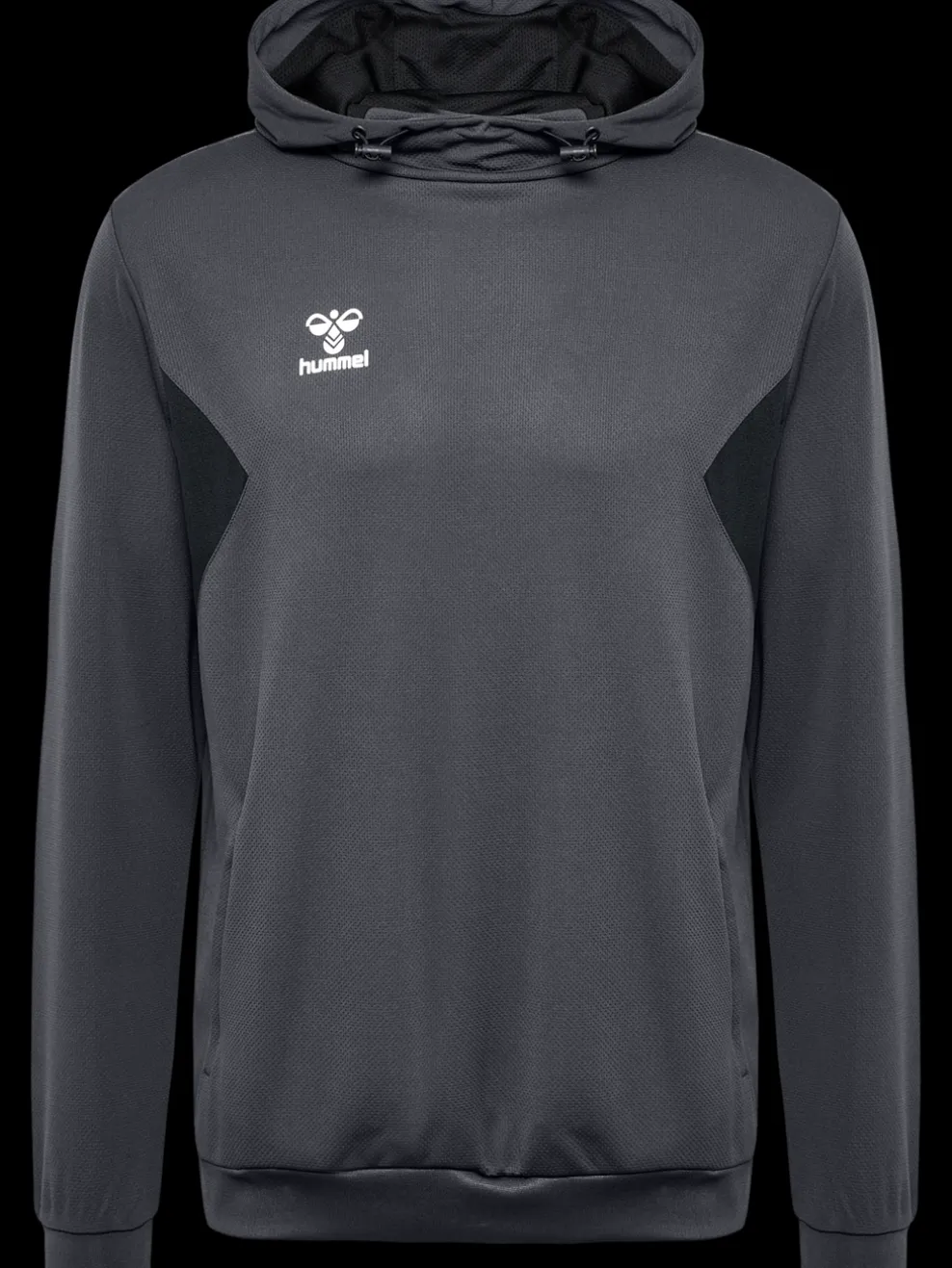hmlAUTHENTIC PL HOODIE
