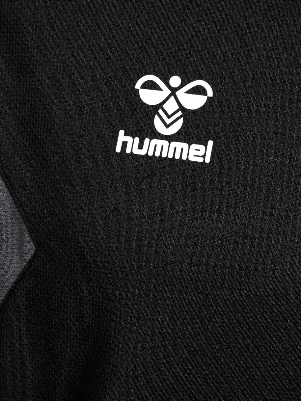 hmlAUTHENTIC PL HOODIE