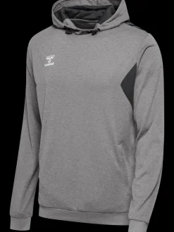 hmlAUTHENTIC PL HOODIE