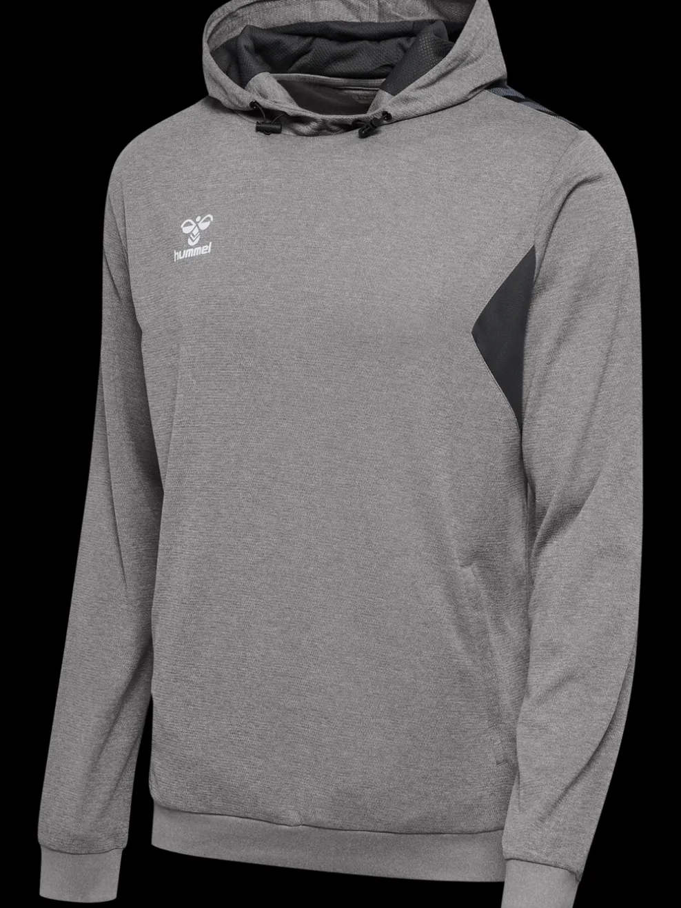 hmlAUTHENTIC PL HOODIE