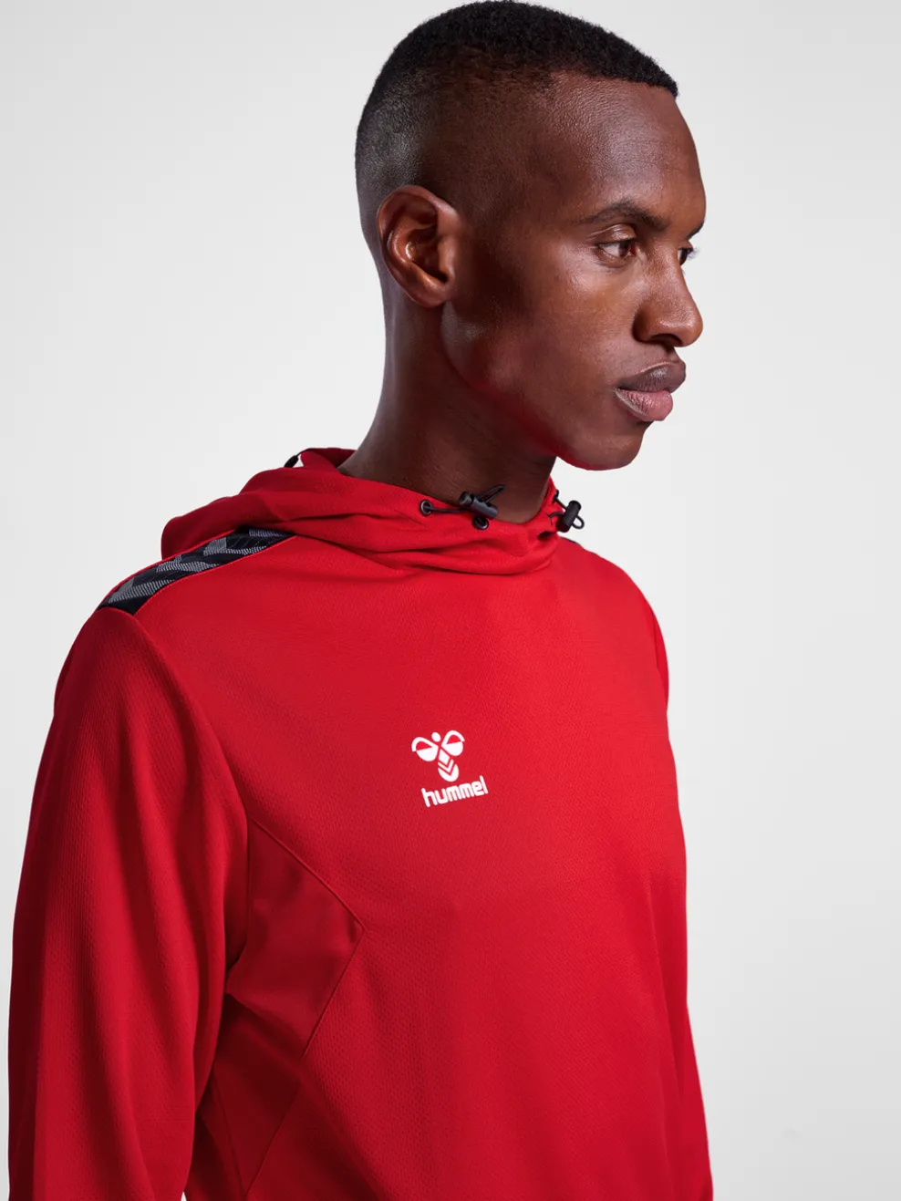 hmlAUTHENTIC PL HOODIE