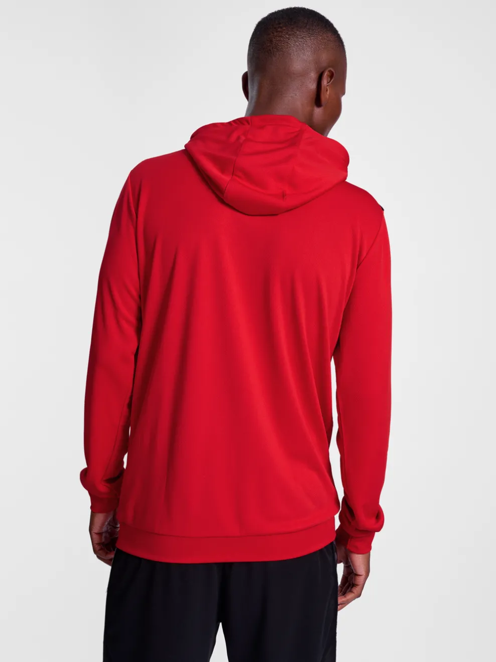 hmlAUTHENTIC PL HOODIE