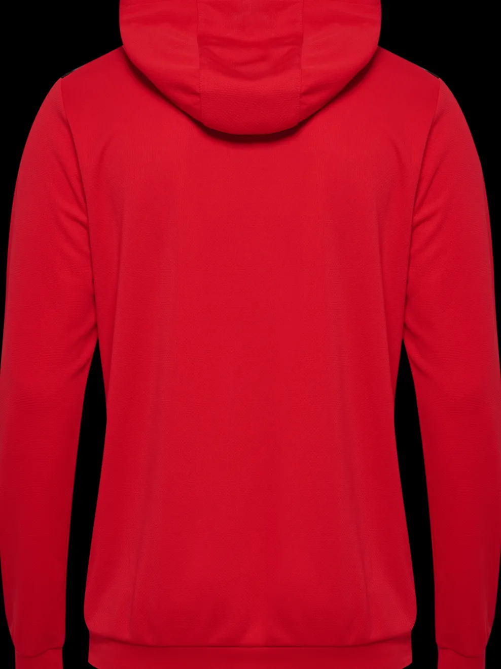 hmlAUTHENTIC PL HOODIE