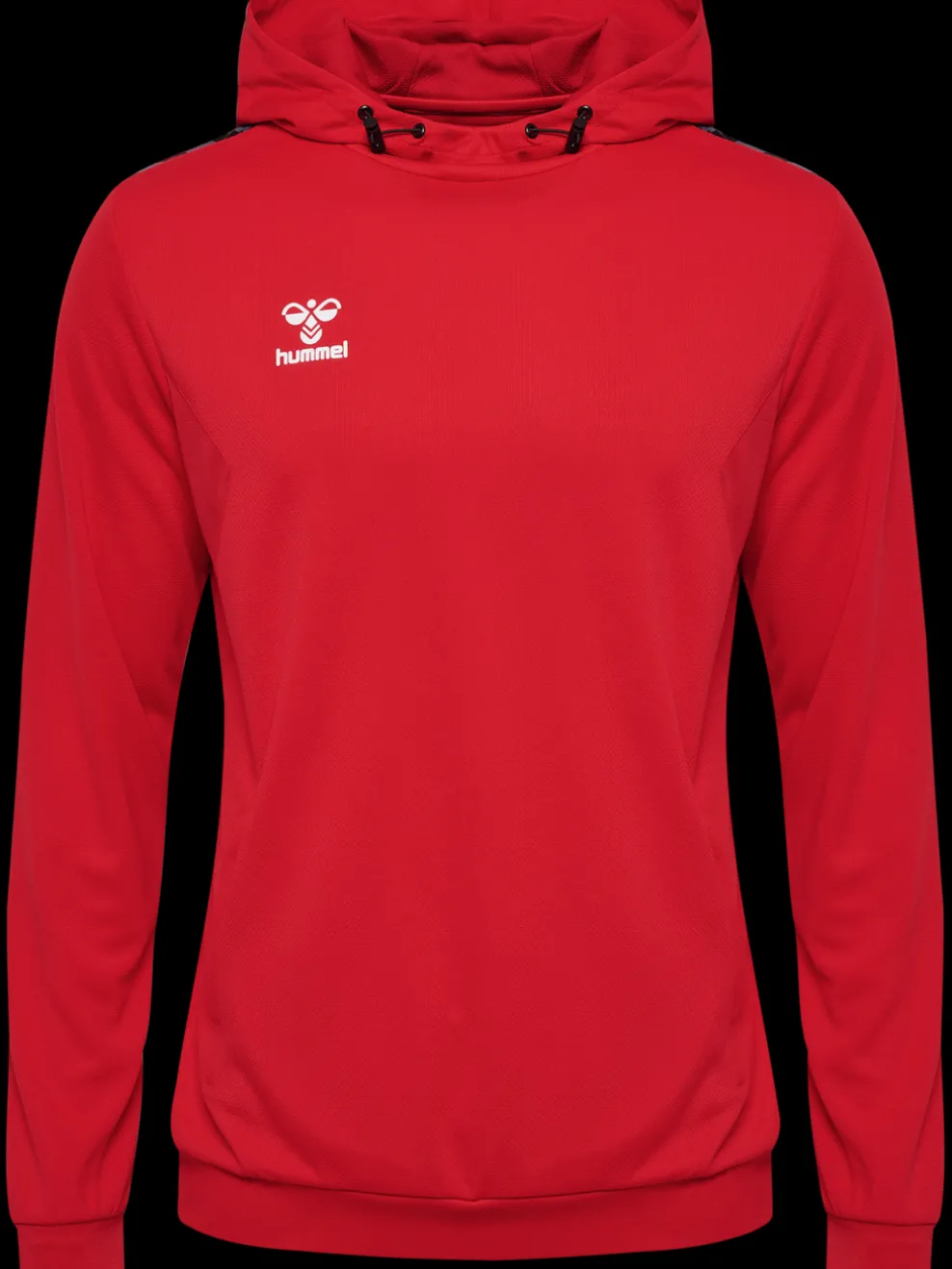 hmlAUTHENTIC PL HOODIE