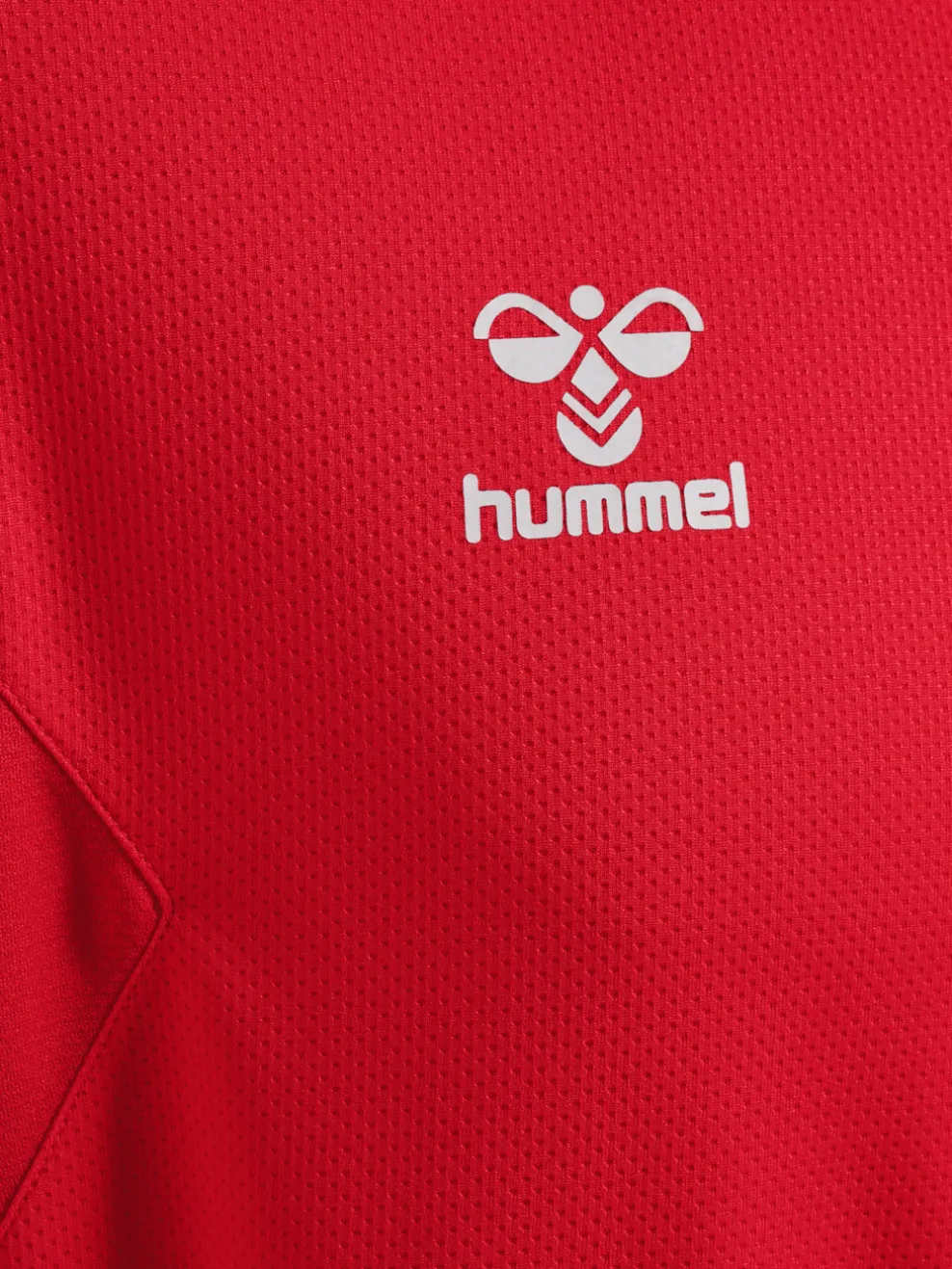 hmlAUTHENTIC PL HOODIE