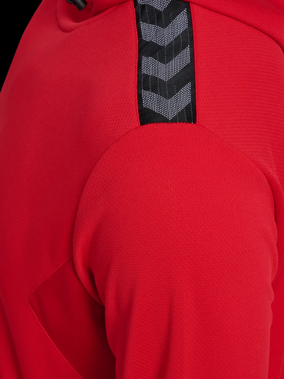 hmlAUTHENTIC PL HOODIE