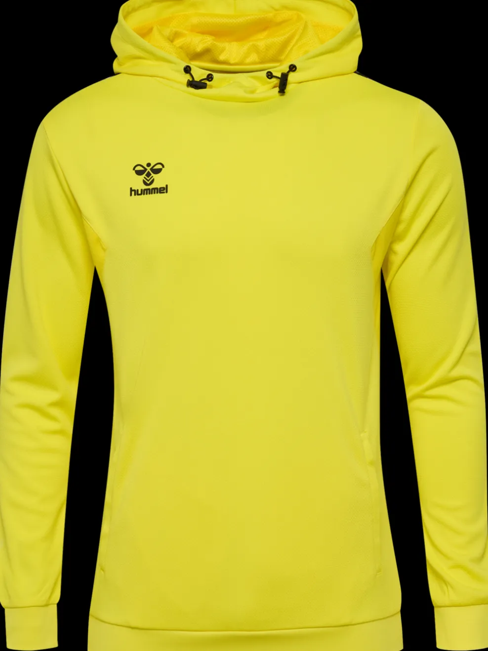 hmlAUTHENTIC PL HOODIE