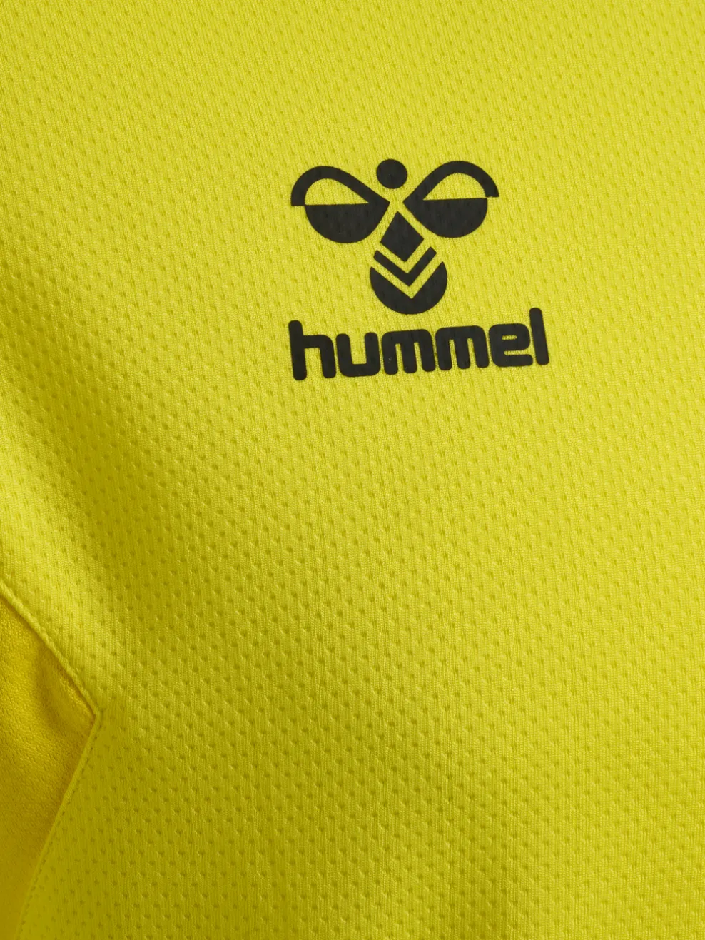 hmlAUTHENTIC PL HOODIE