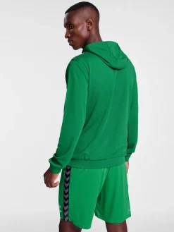 hmlAUTHENTIC PL HOODIE
