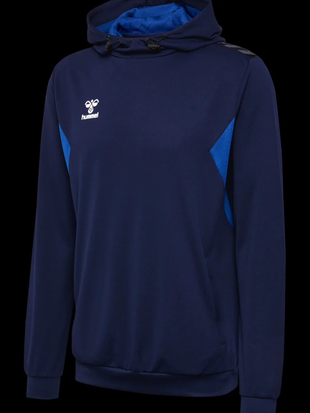 hmlAUTHENTIC PL HOODIE