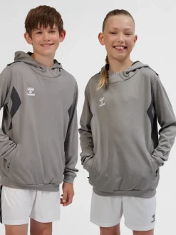 hmlAUTHENTIC PL HOODIE KIDS