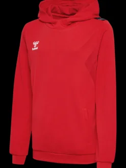 hmlAUTHENTIC PL HOODIE KIDS
