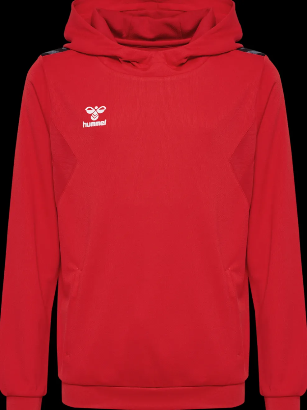 hmlAUTHENTIC PL HOODIE KIDS