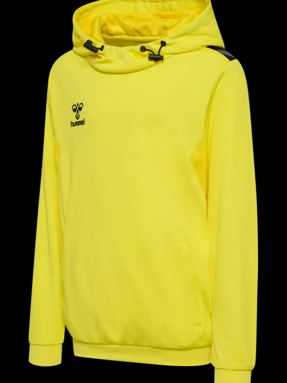 hmlAUTHENTIC PL HOODIE KIDS