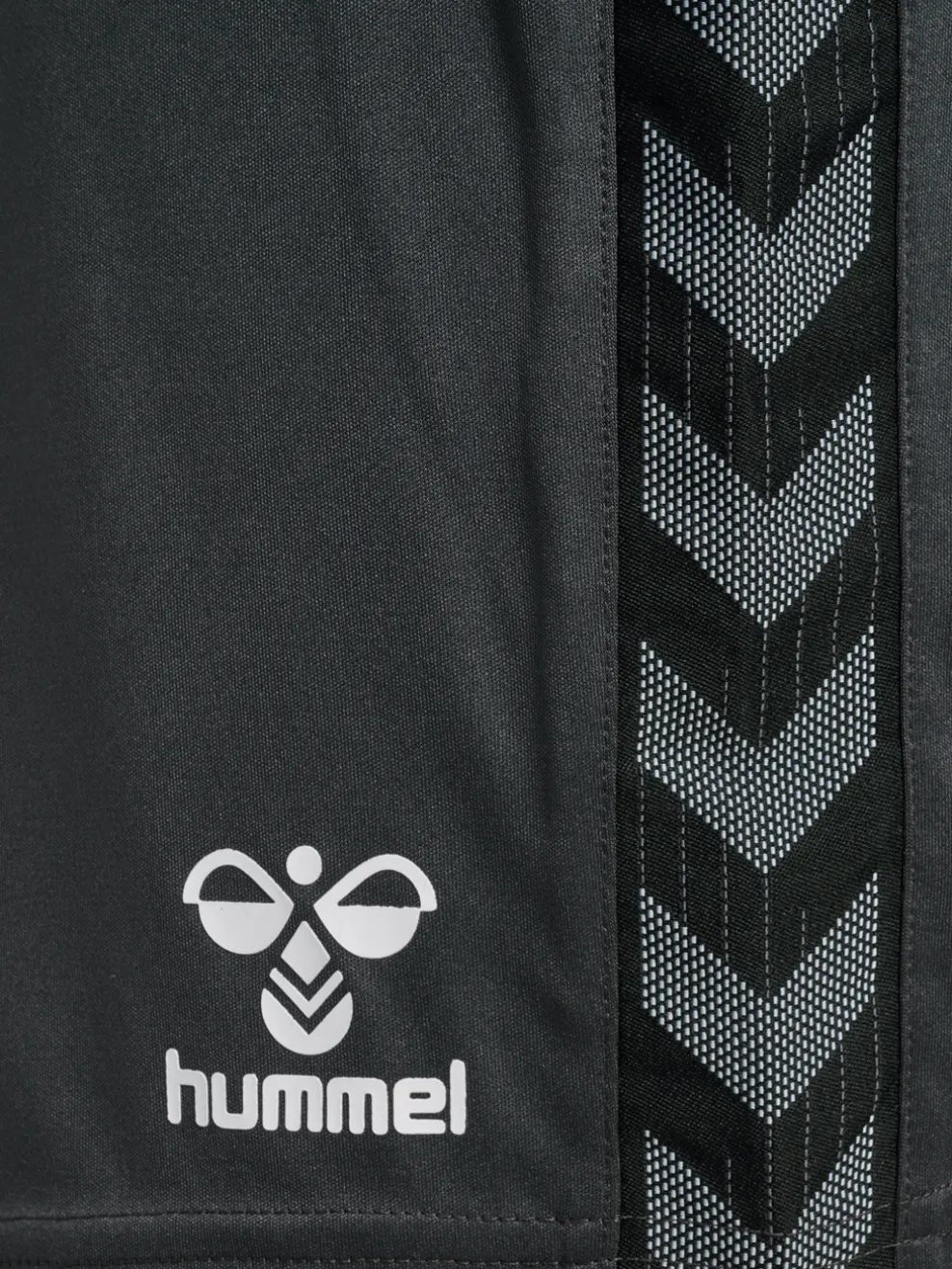 hmlAUTHENTIC PL SHORTS