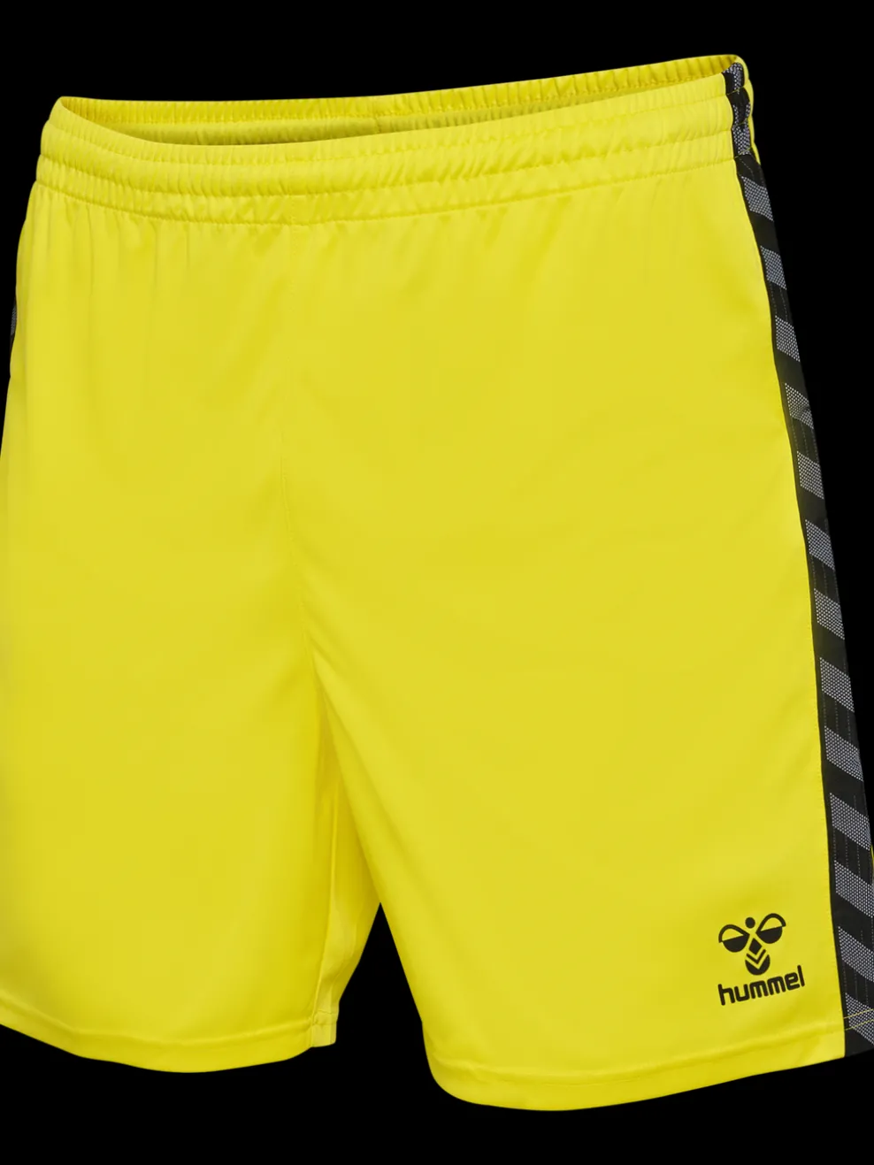 hmlAUTHENTIC PL SHORTS