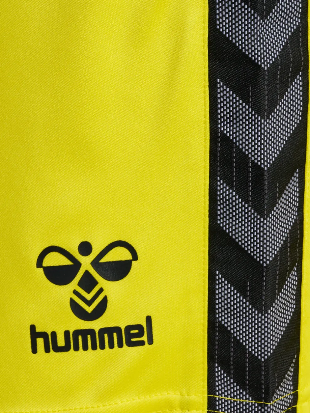 hmlAUTHENTIC PL SHORTS