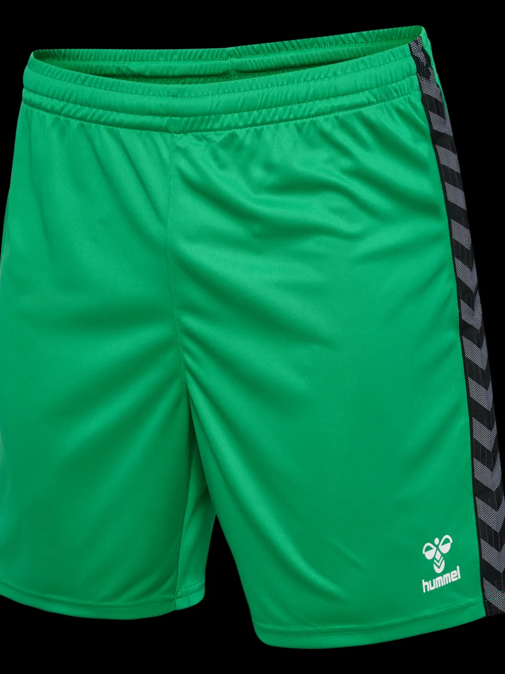 hmlAUTHENTIC PL SHORTS
