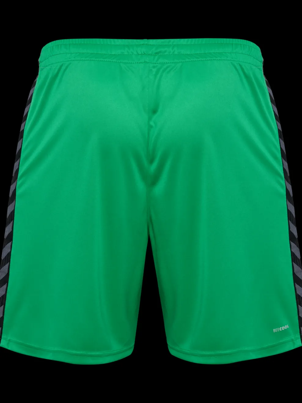 hmlAUTHENTIC PL SHORTS