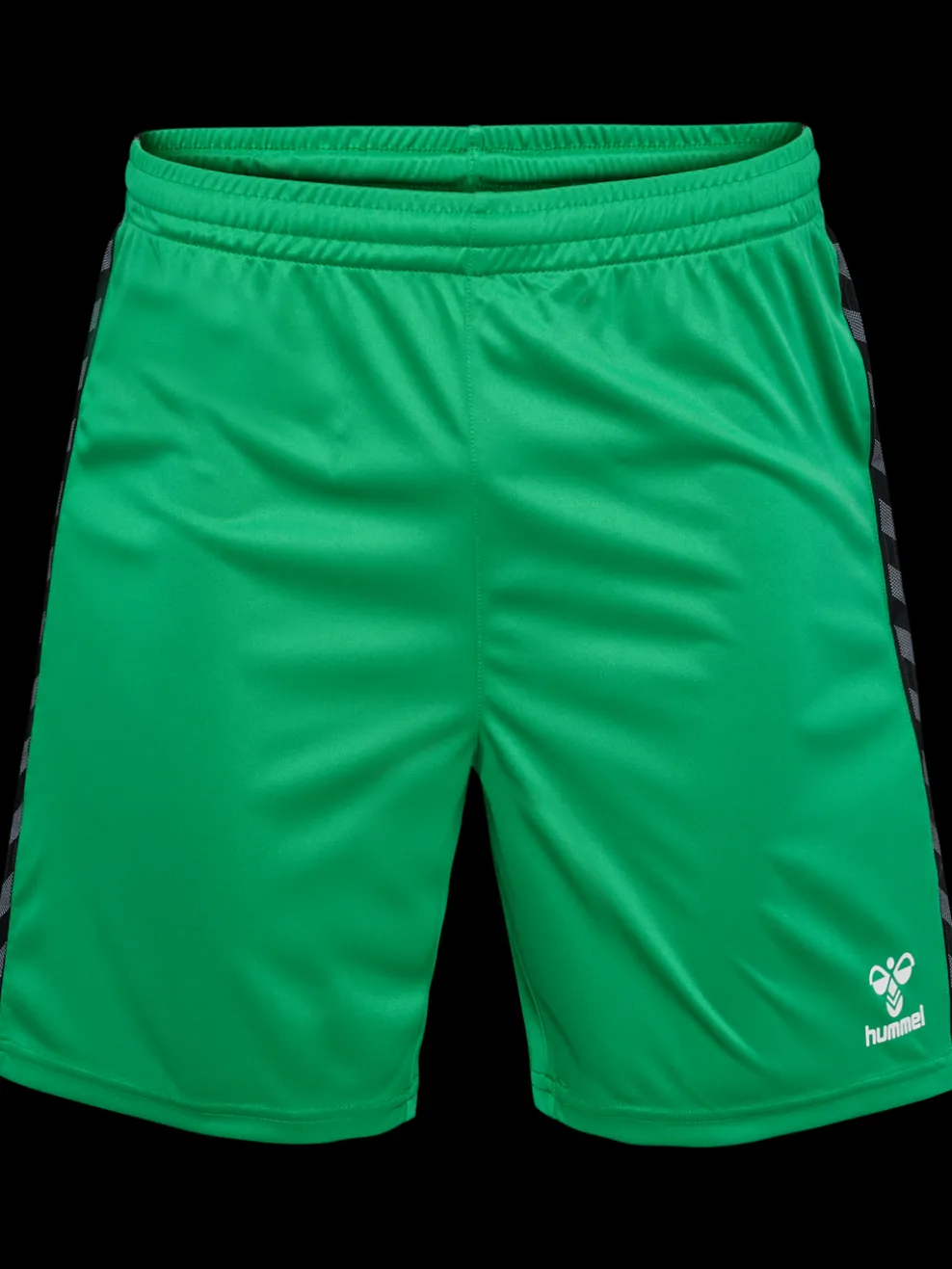 hmlAUTHENTIC PL SHORTS