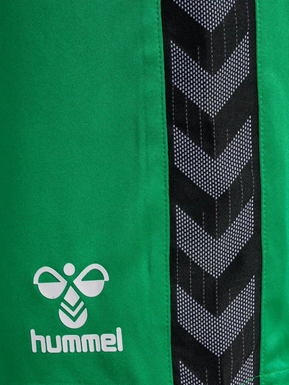 hmlAUTHENTIC PL SHORTS