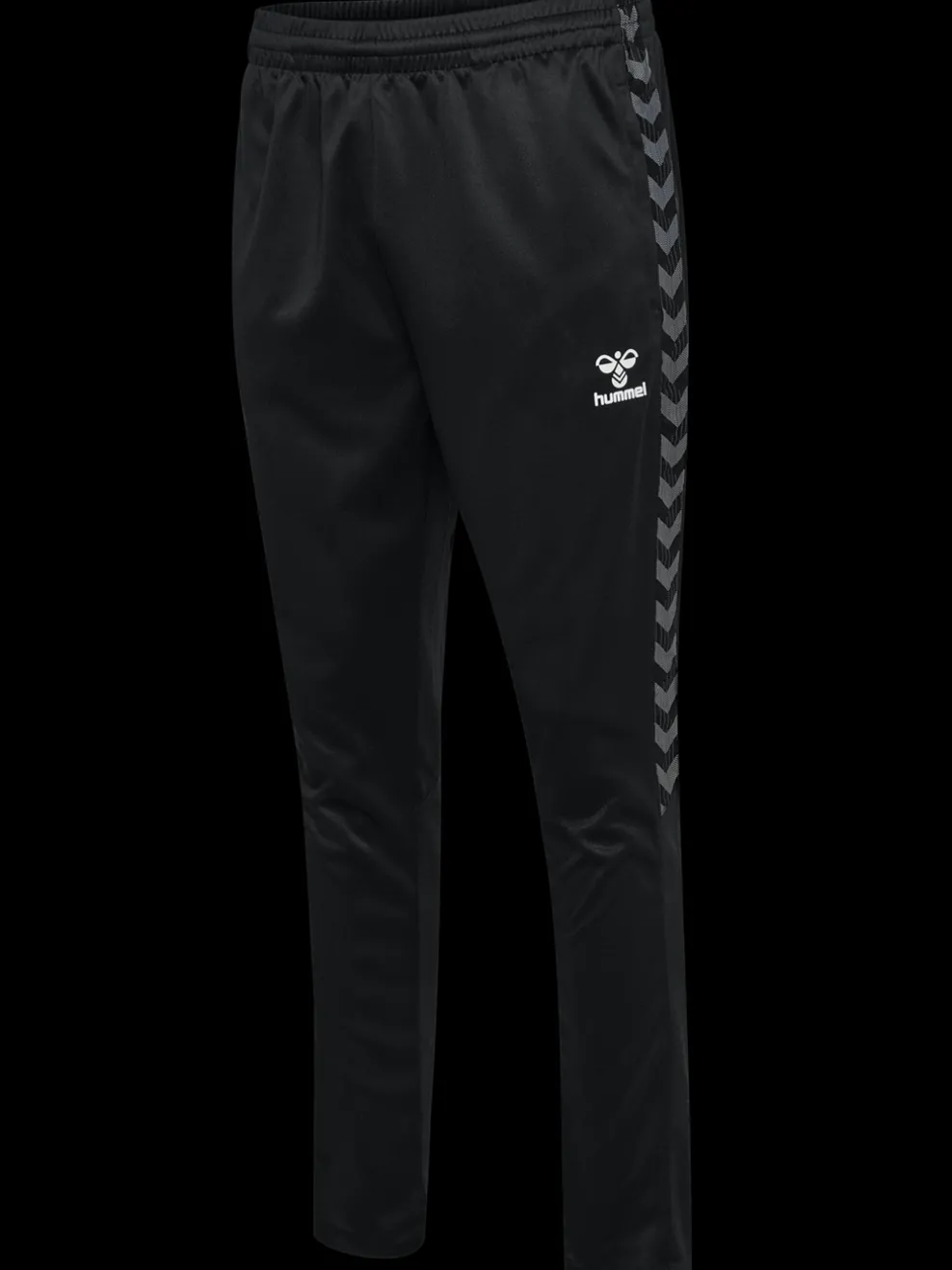 hmlAUTHENTIC TRAINING PANTS