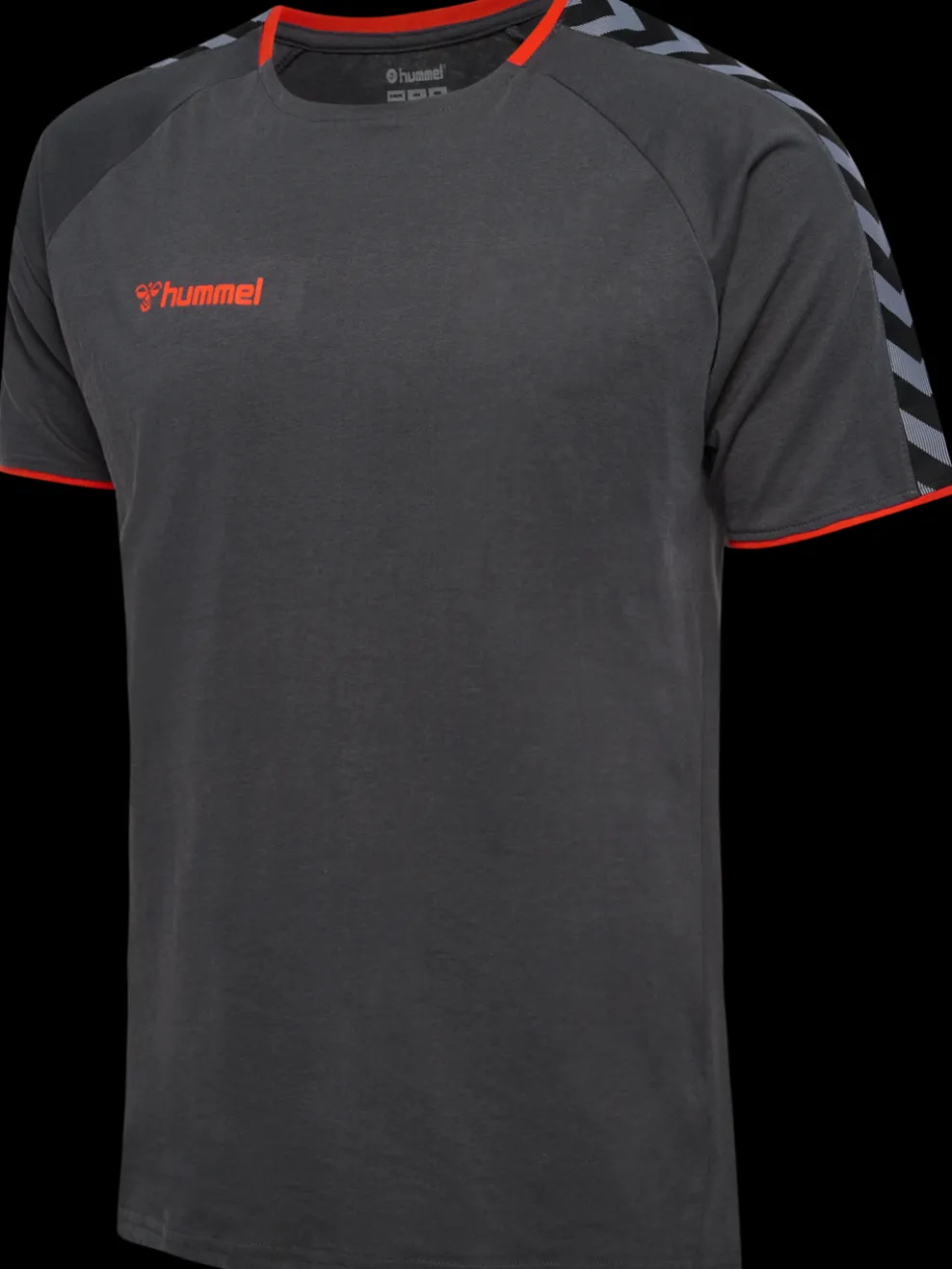 hmlAUTHENTIC TRAINING TEE