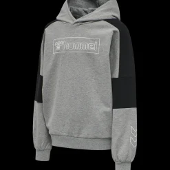 hmlBOXLINE HOODIE