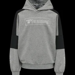 hmlBOXLINE HOODIE