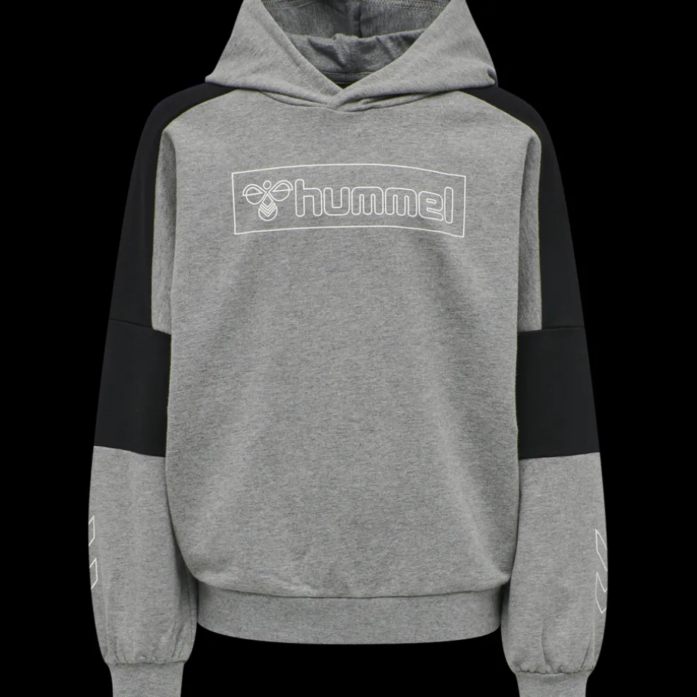 hmlBOXLINE HOODIE