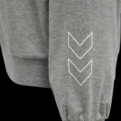 hmlBOXLINE HOODIE