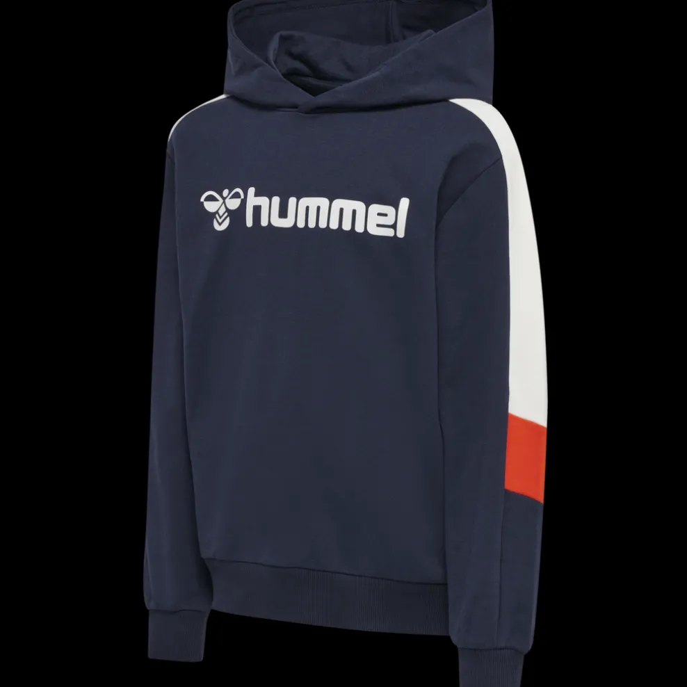 hmlBUGGE HOODIE