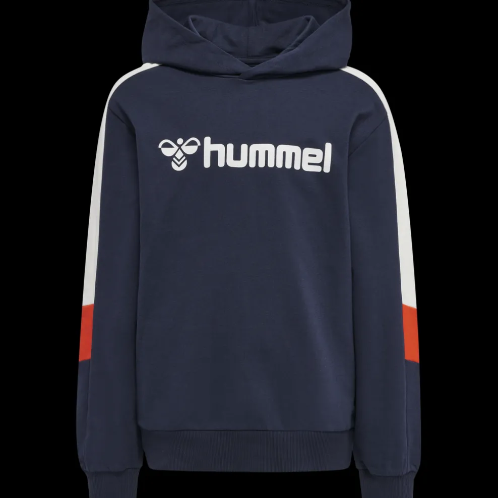 hmlBUGGE HOODIE