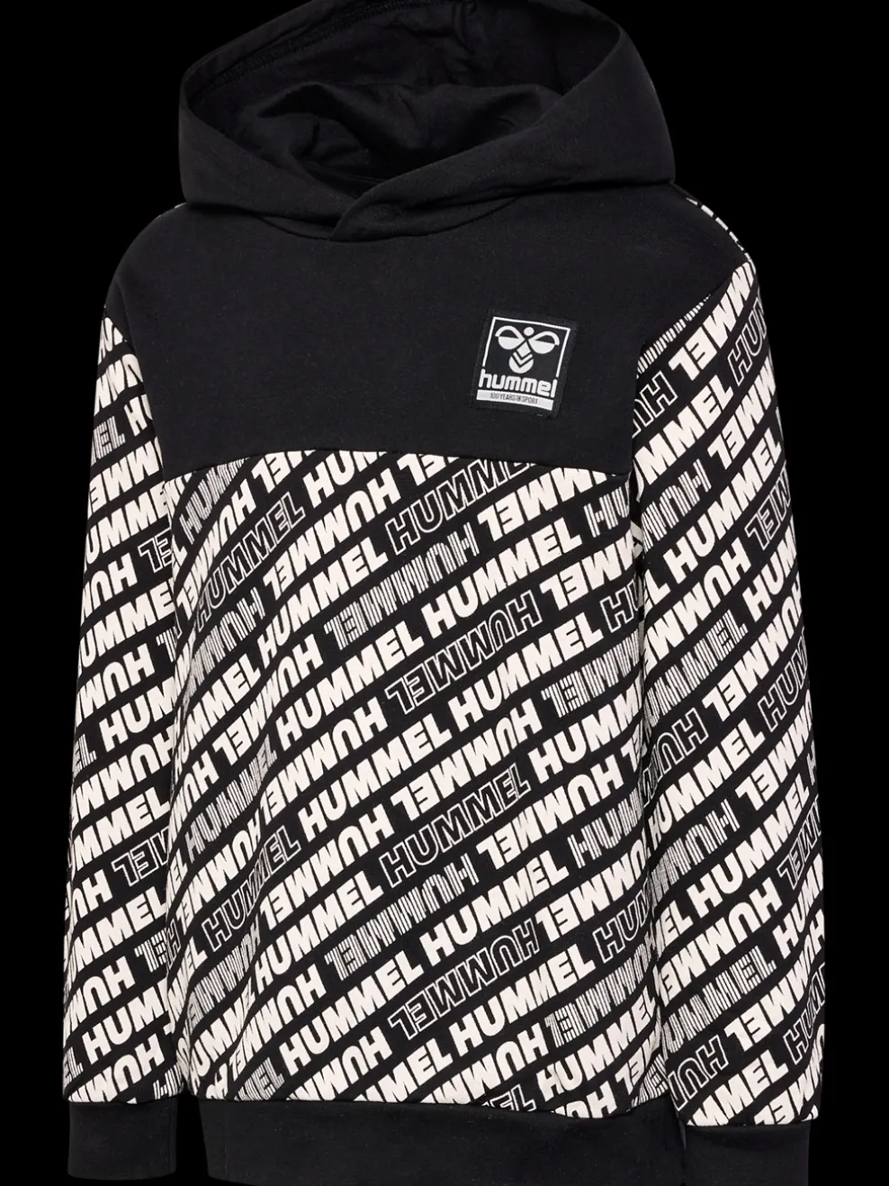 hmlCAMERON HOODIE