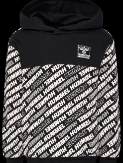 hmlCAMERON HOODIE