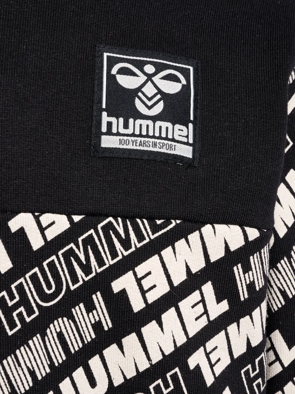 hmlCAMERON HOODIE