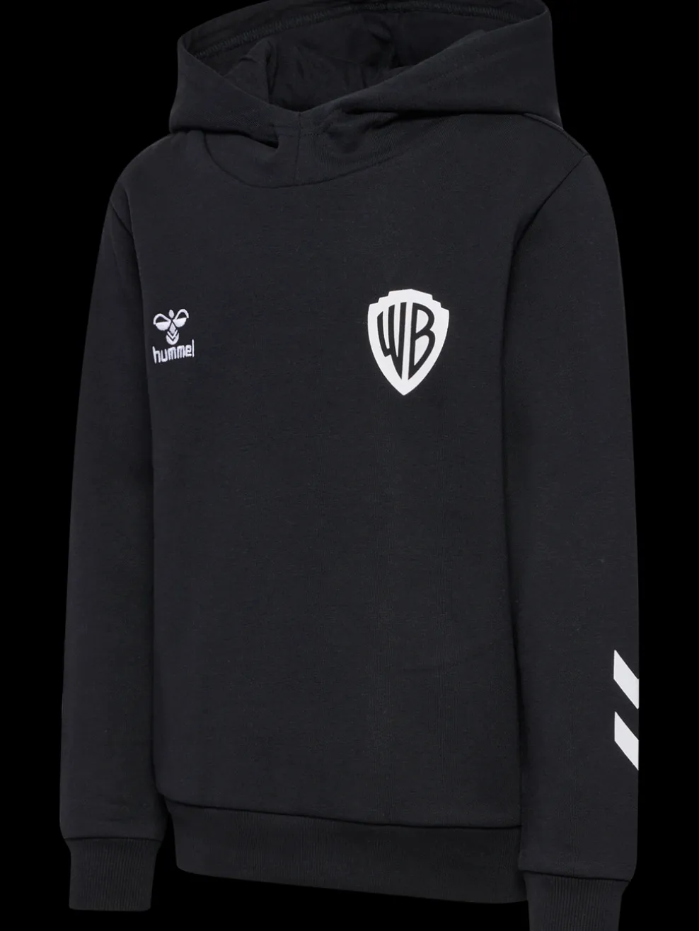 hmlCELEBRATING STORY HOODIE