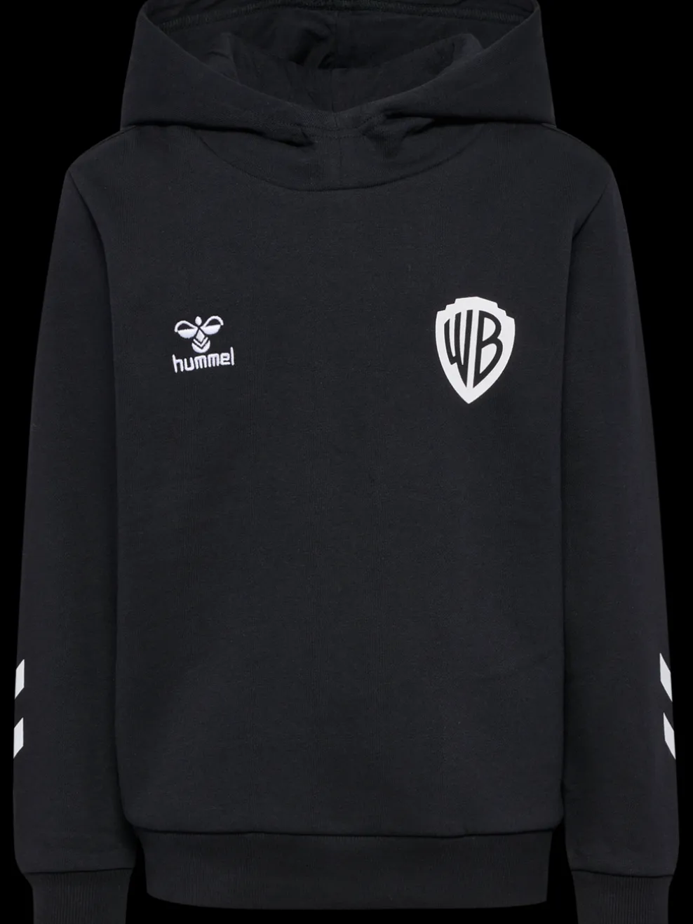 hmlCELEBRATING STORY HOODIE