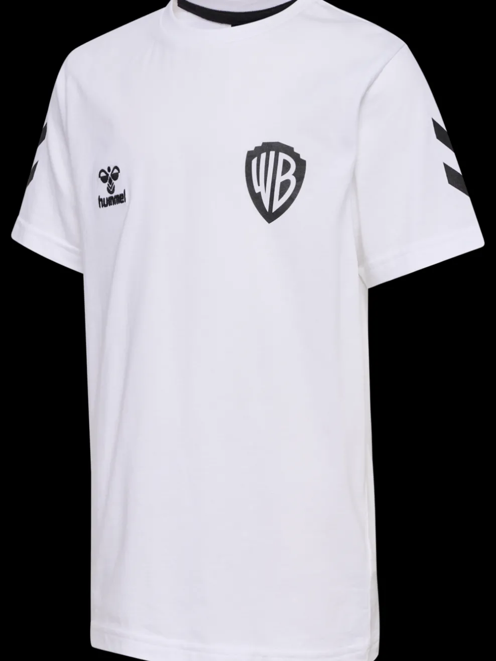hmlCELEBRATING STORY T-SHIRT S/S