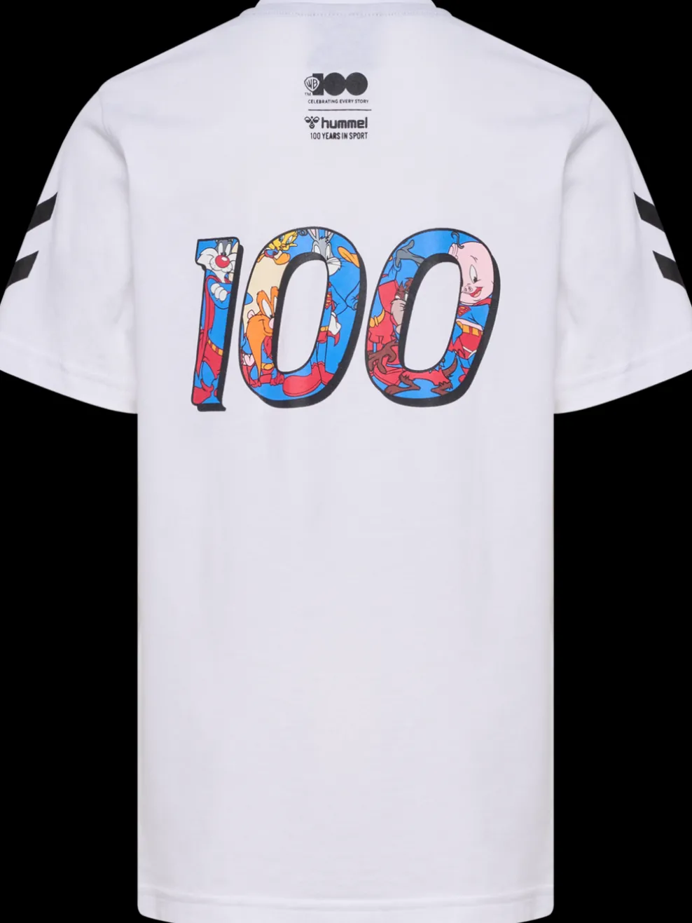 hmlCELEBRATING STORY T-SHIRT S/S
